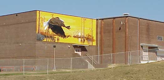 Niceville High Eagle Mural 2000