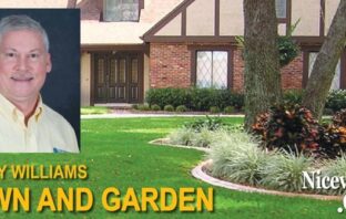 Monitoring for common lawn insects niceville larry williams