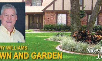 Lawn-feeding caterpillars active in some local lawns niceville larry williams