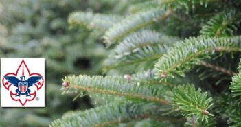 Boy Scout Christmas Tree Sale 2014 this weekend niceville Boy Scout Christmas Tree Sale at City Hall, Niceville FL