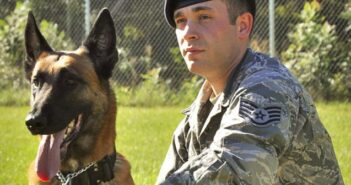A formidable team: Airman, K-9 Eglin Air Force Base, K-9