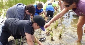 Choctawhatchee Basin service-learning project in Niceville ChocBasinAlliance-grass