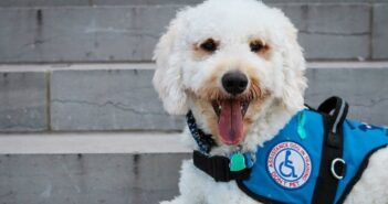 EOD Warrior Foundation seeks EOD tech in need of assistance dog EOD Warrior Foundation Assistance Dog niceville fl