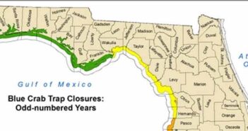 Blue crab trap closure for northwest Florida starts Jan. 5 blue crab season northwest fl niceville