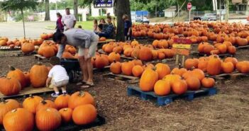 2018 Niceville Pumpkin Patch opens October 1 niceville pumpkin patch