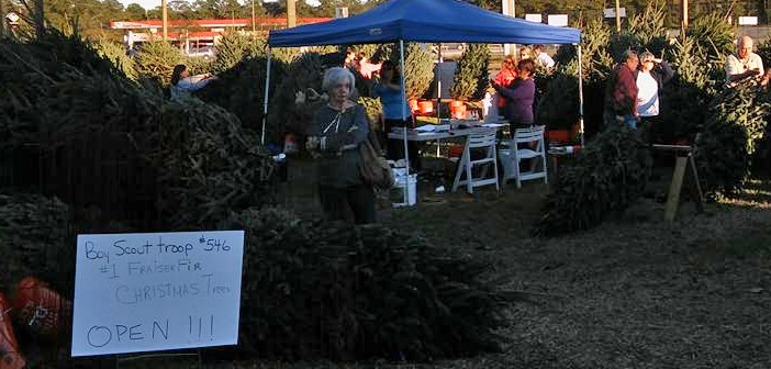 niceville christmas tree sale troop 546
