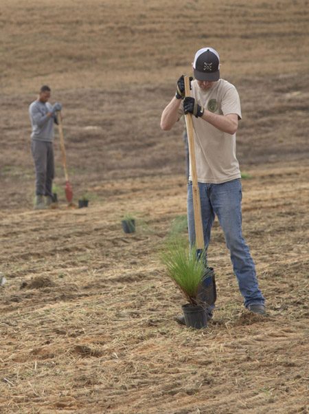 niceville eafb tree planting