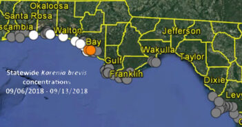 Red tide growing in Bay County niceville red tide map