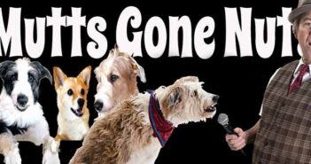 Rescued canines star in Mutts Gone Nuts niceville fl mutts gone nuts