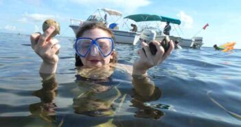 Bay scallop season open in Franklin County, other locations scallops northwest florida