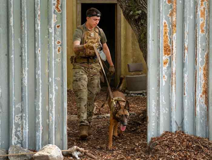 Military Working Dog competition eglin air force base