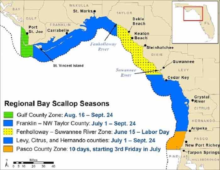 florida bay scallop recreational season dates 2021 map