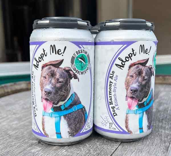 Dog Harmony Destin Brewery adopt me beer cans