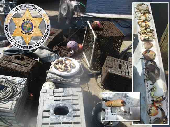 Florida Fish and Wildlife Conservation Commission officers find stolen crab traps