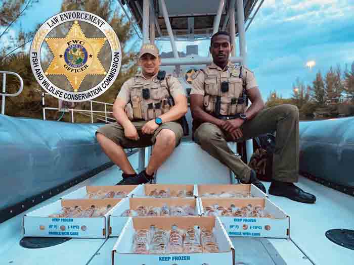 Florida Fish and Wildlife Conservation Commission officers with lobster tails