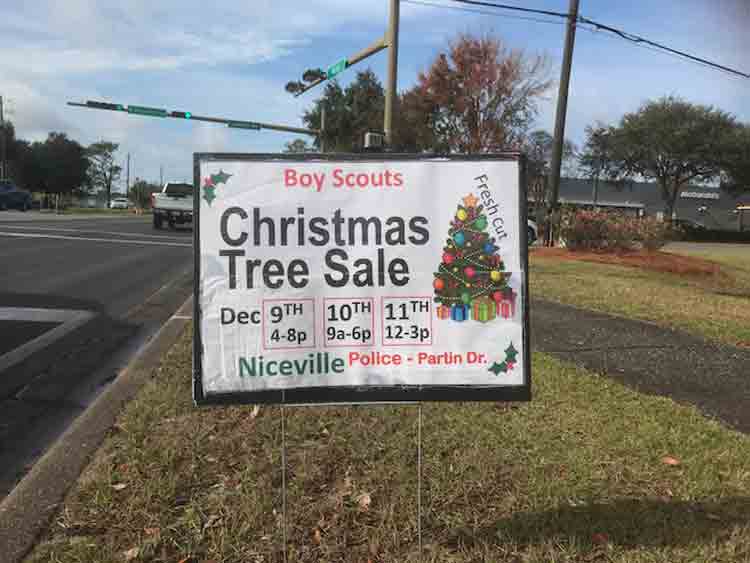 christmas tree sale roadside sign