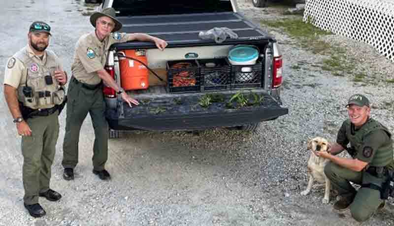 Three Florida Fish and Wildlife Conservation Commission officers and their K-9 display ribbon orchids and a ghost orchid on the tailgate of a pickup truck.