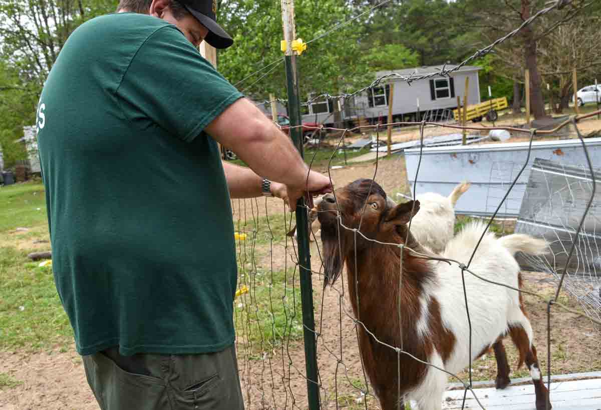 Walton County Animal Control officer CJ Eastling mends a fence with a goat closely watching.