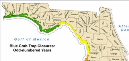 florida blue crab season closures map showing Wakulla through Hernando counties
