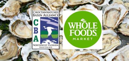 Whoe Foods oyster destin niceville