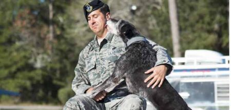 eglin air force base dog retirement niceville