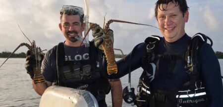 Florida spiny Lobster divers