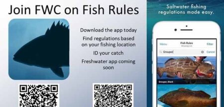 florida fishing id regulations app fwc