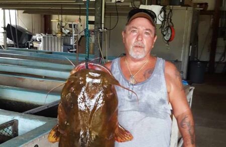 record flathead catfish yellow river florida