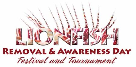 lionfish removal & awareness festival and tournament