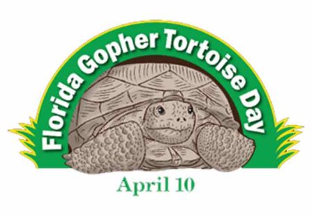 Florida Gopher Tortoise Day