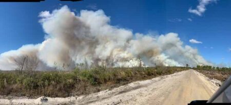 Florida Forest Service Bertha Swamp Fire