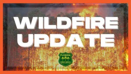 wildfire update florida forest service