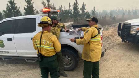 Bertha Swamp wildfire, firefighters