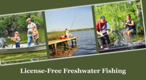 License-free freshwater fishing weekend in Florida