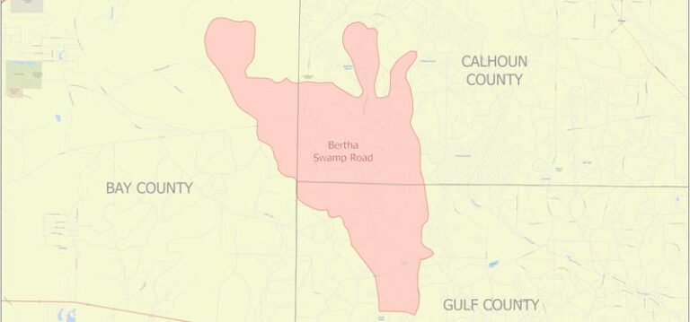 Bertha Swamp Fire in Bay County, Calhoun County and Gulf County, map, march 7, 2022