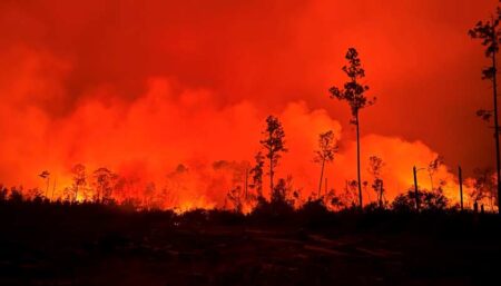 Bertha Swamp Fire burning after dark