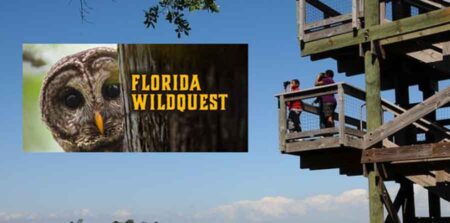 Florida Wildquest scavenger hunt