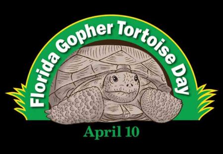 Florida Annual Gopher Tortoise Day