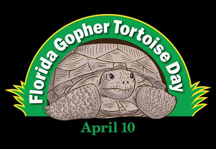 Florida Annual Gopher Tortoise Day