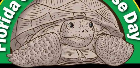 Illustration of gopher tortoise