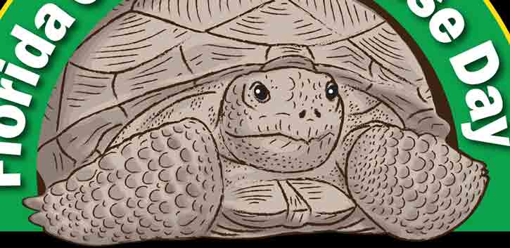 Illustration of gopher tortoise