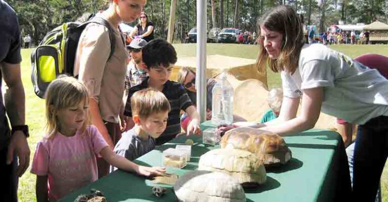 Florida's Gopher Tortoise Day outreach activity