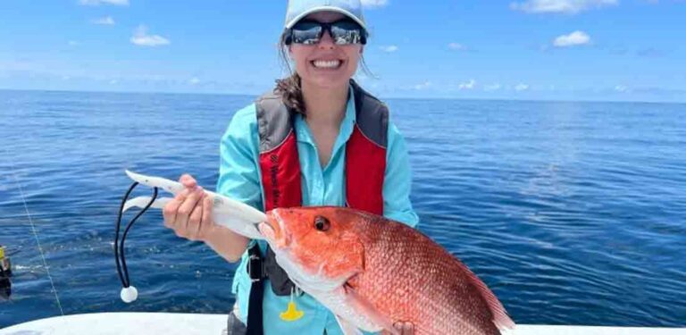 Red snapper in Florida
