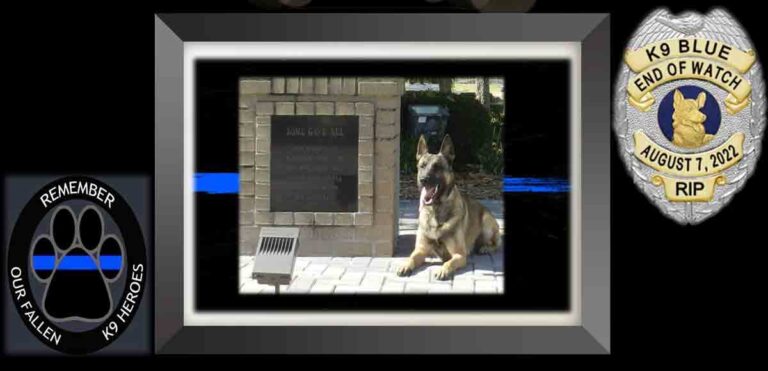 K9 Blue, the Niceville Police Department’s late drug-detecting police dog