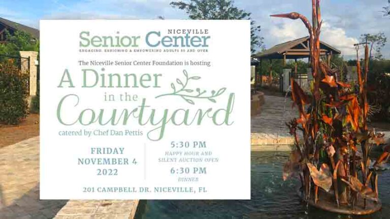 A Dinner in the Courtyard poster