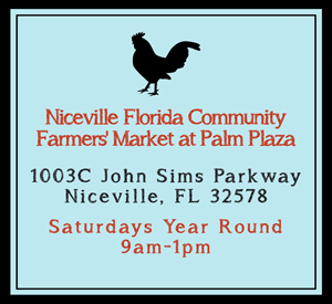Niceville Florida Community Farmers Market at Palm Plaza