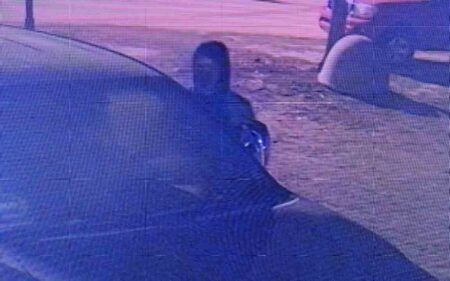burglary suspect in ski mask standing next to vehicle after dark