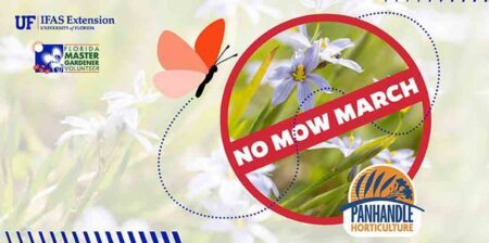 No Mow March promo graphic