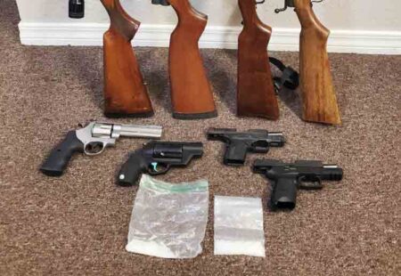 Two baggies containing meth, four handguns and four rifles placed on the floor
