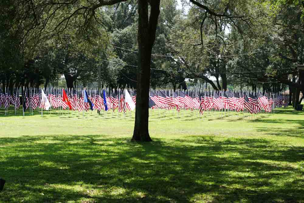 Field of Valor, flags waving